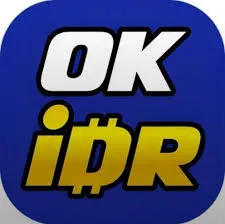 OKIDR - Petualangan Aksi Seru di Ujung Jari